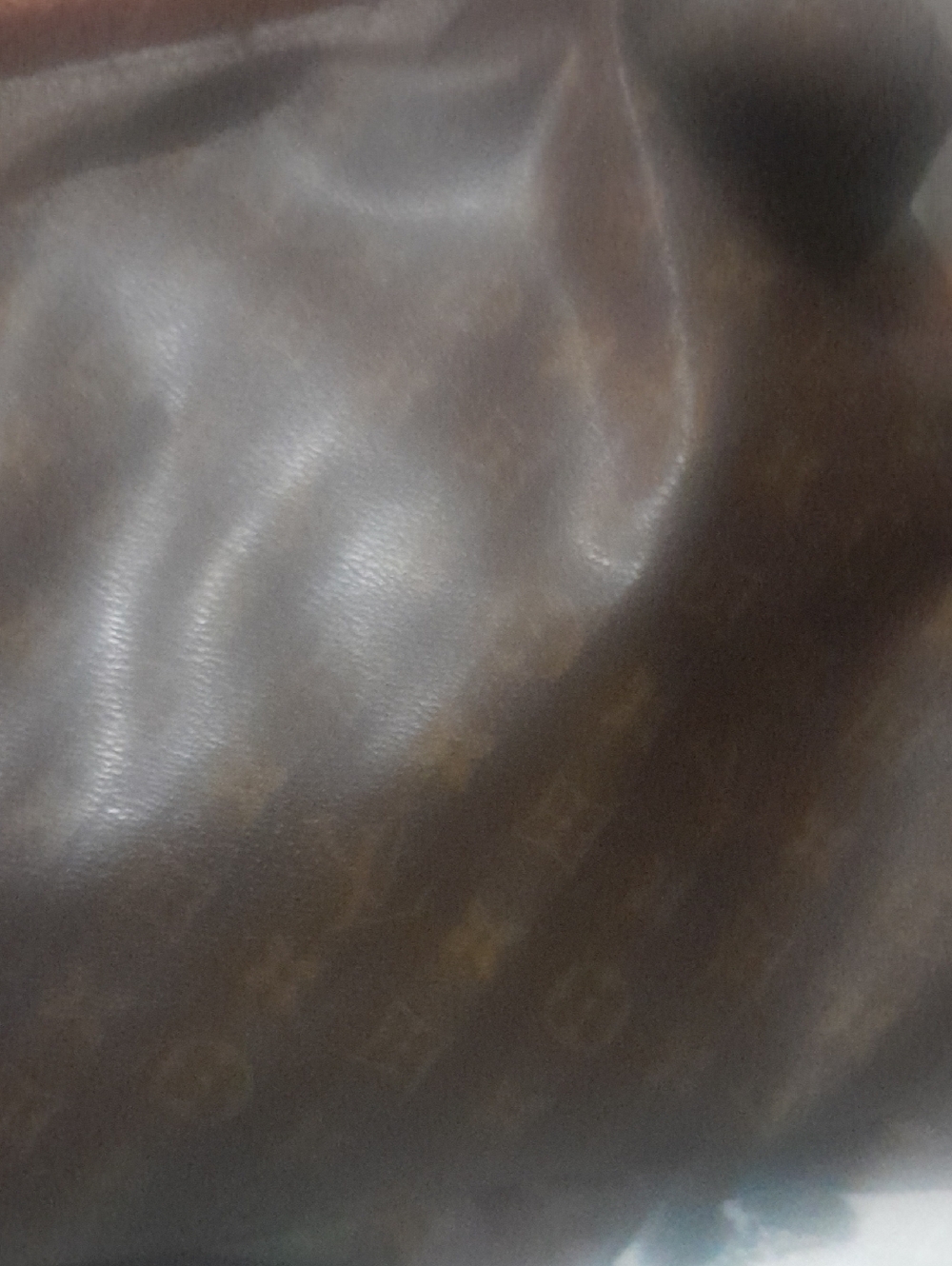 Louis Vuitton Monogram Tote with Tan Braided Handle - Picture 3 of 11